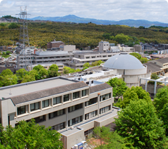 大学概要