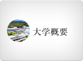 大学概要