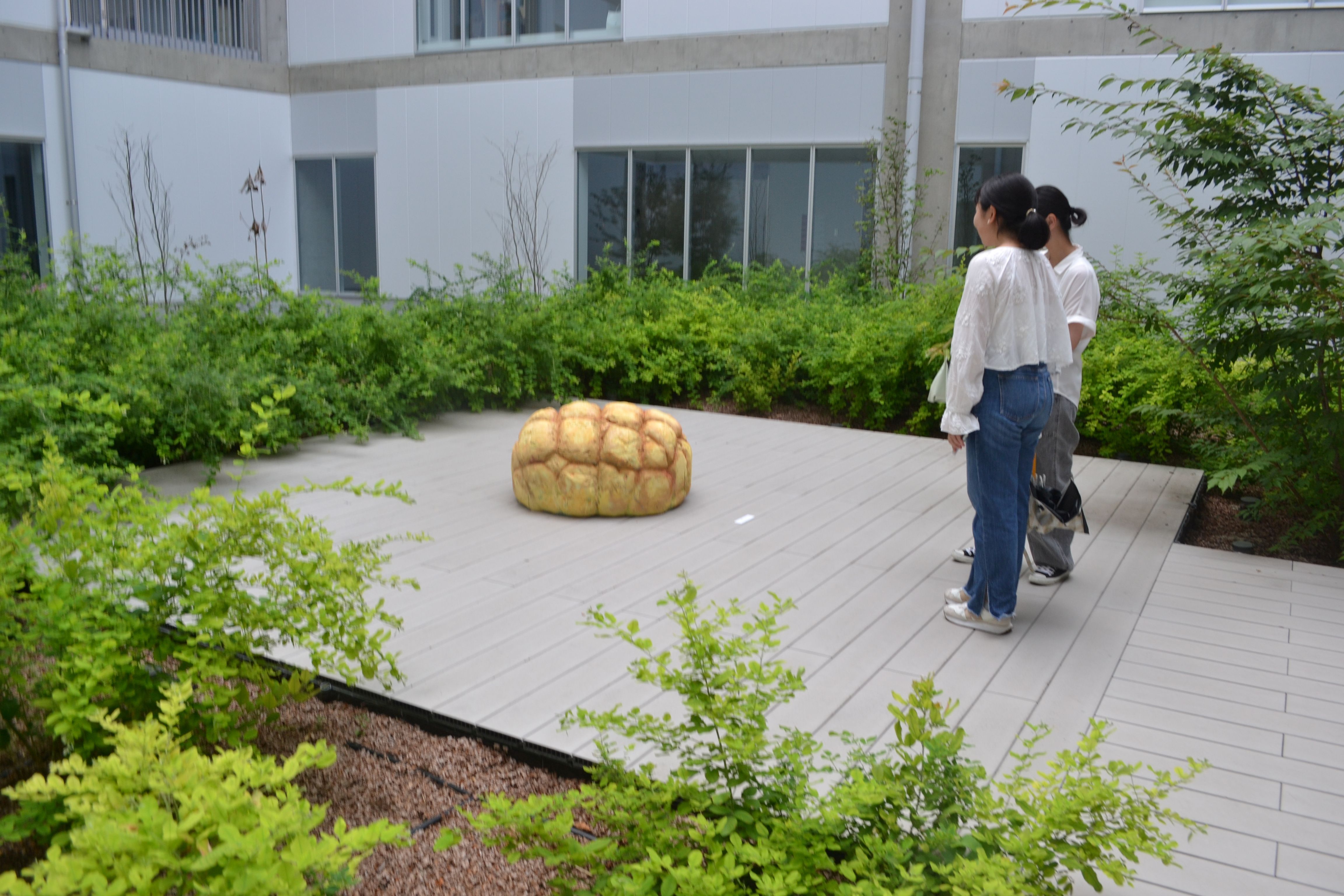 取組の様子